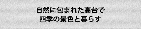新城市:丘の上の見晴らしの家